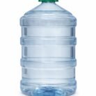 WhatsApp Image 2026-01-31 at 7.56.25 PM